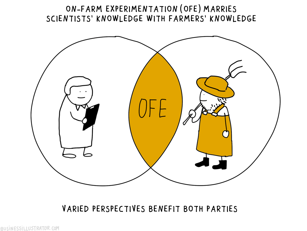 A Venn diagram titled 'On-Farm Experimentation (OFE) Marries Scientists' Knowledge with Farmers' Knowledge,' showing overlapping circles labeled 'SCIENTISTS' KNOWLEDGE' and 'FARMERS' KNOWLEDGE,' with the intersection labeled 'OFE.' The left circle ha