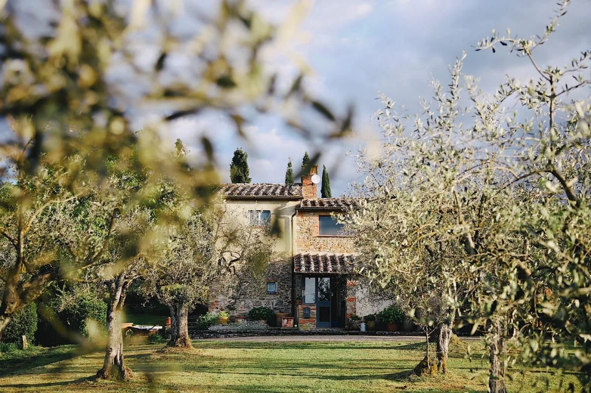 329e1510-d7a5-42e9-84b4-8d0084474e24 (1).jpg