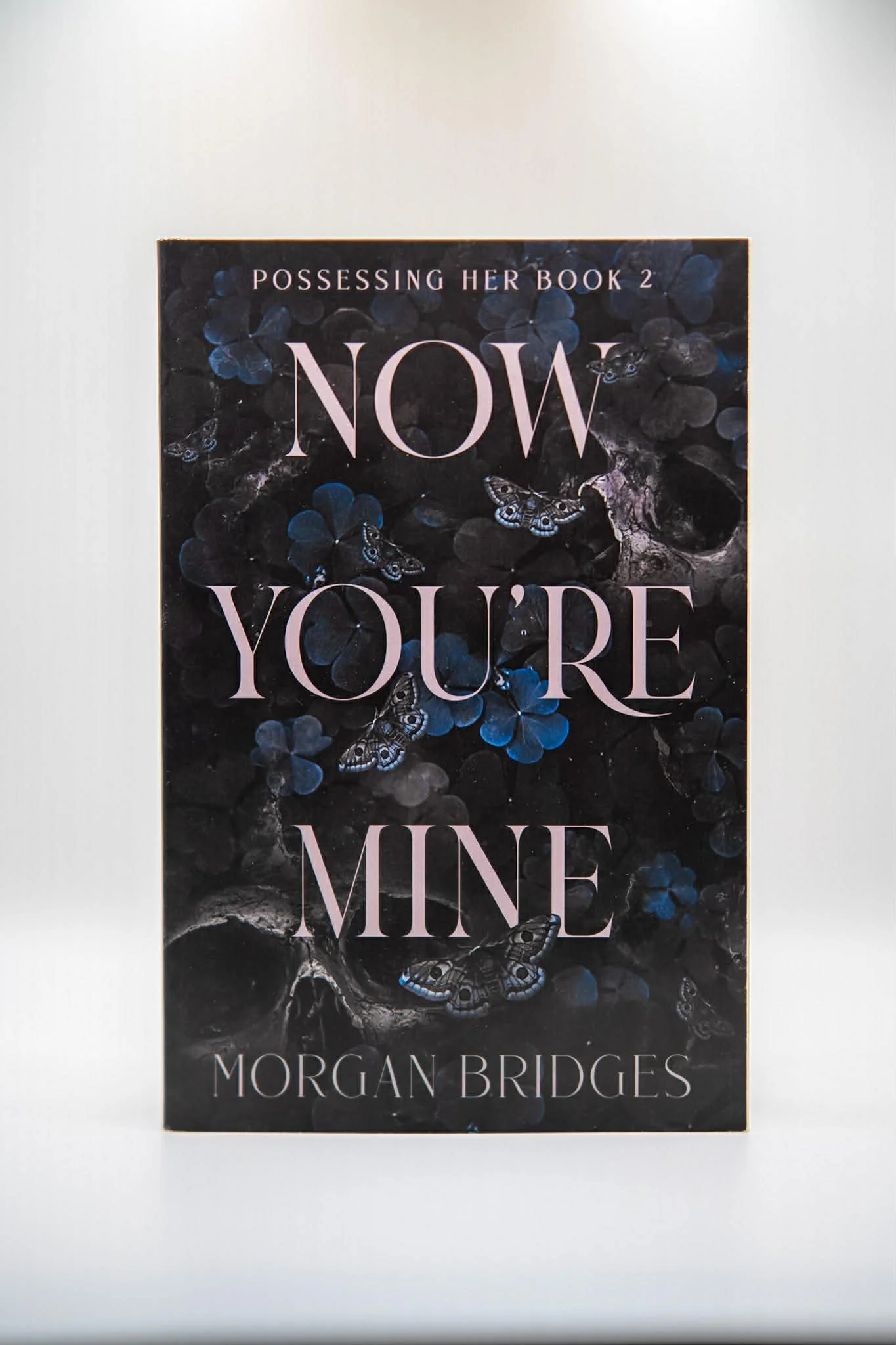 Now You're Mine (Possessing Her, Bk. 2)
