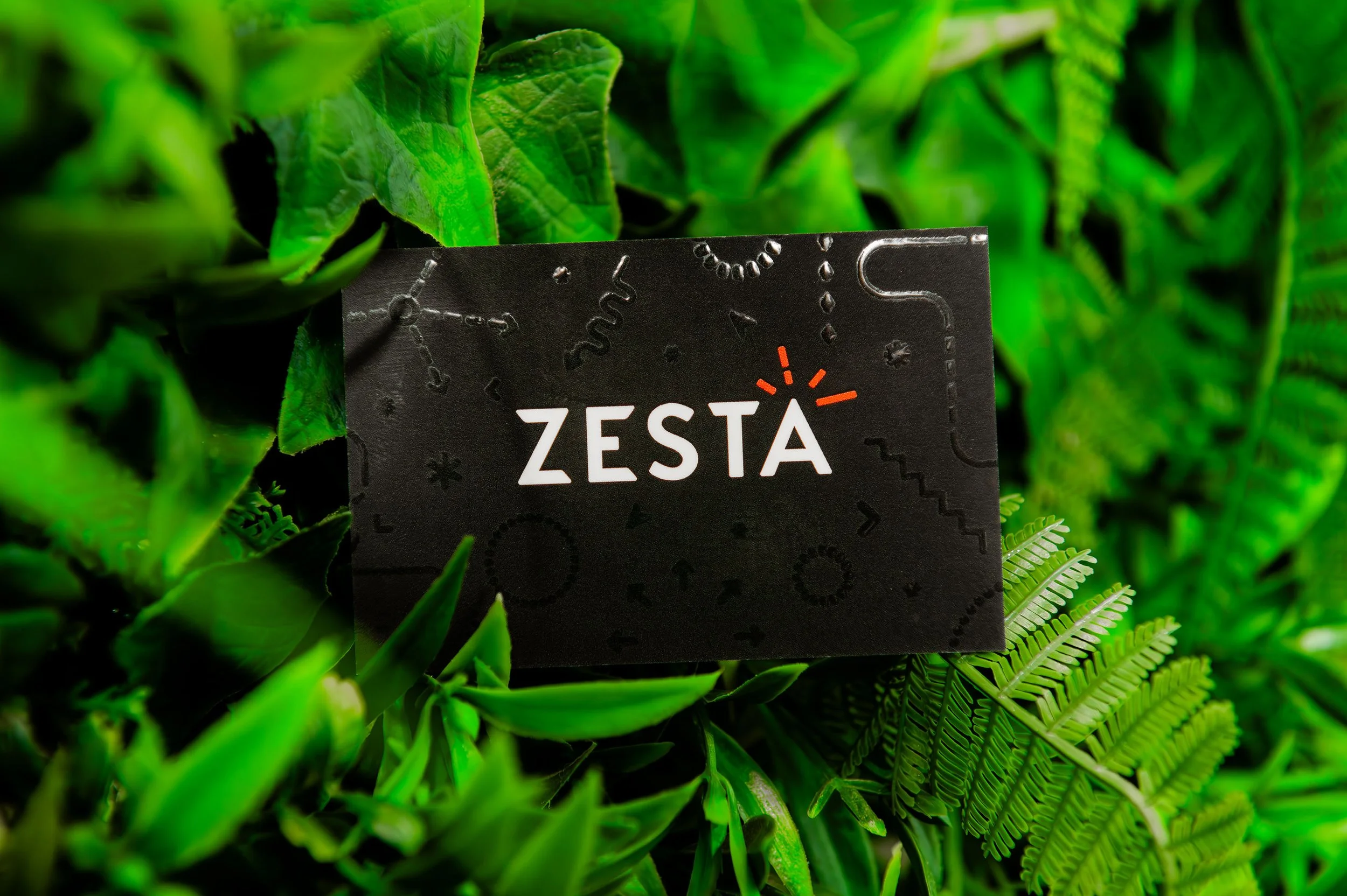 Close-up of green foliage with a black tag labeled 'ZESTA' among the leaves.