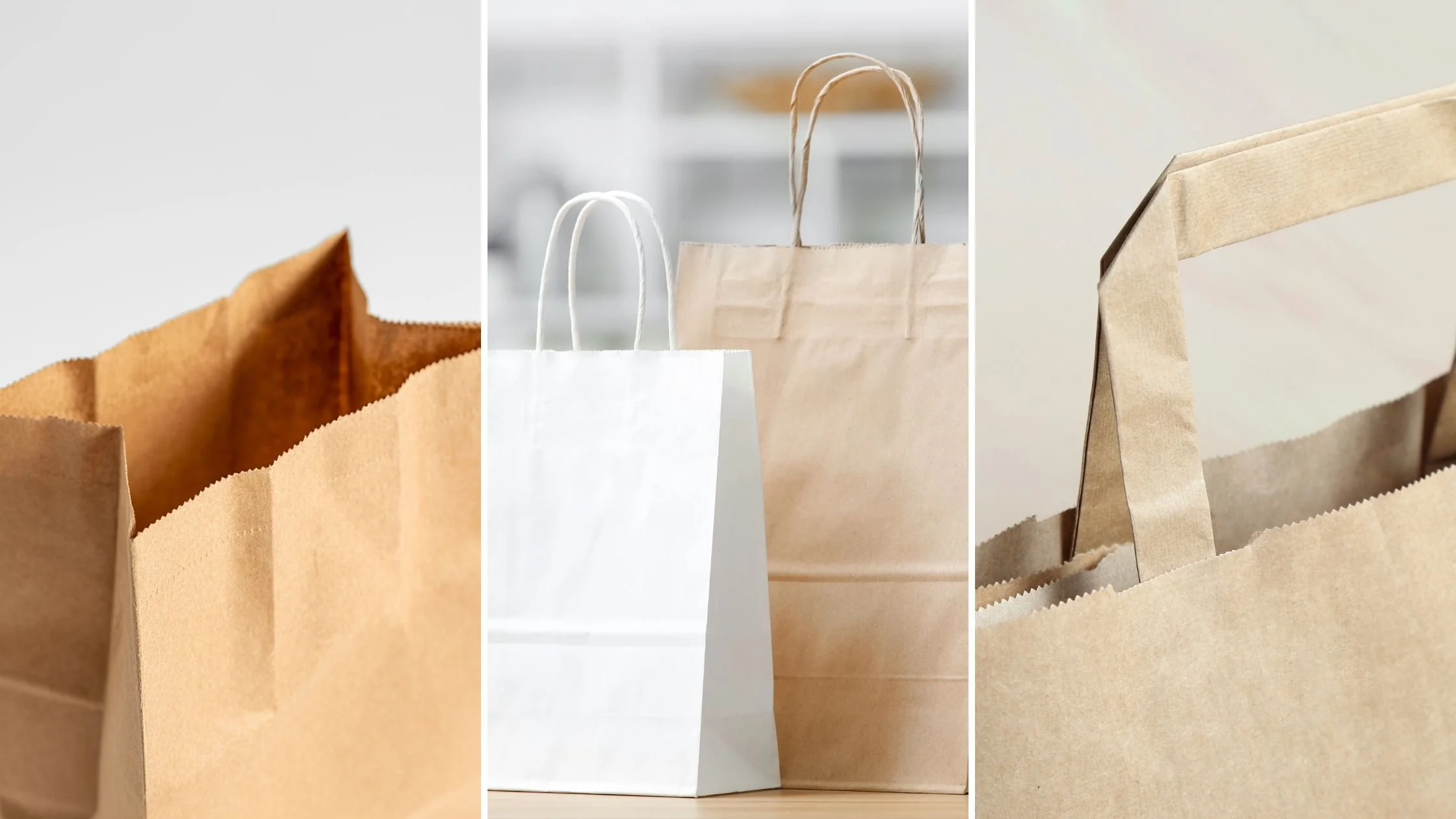 Twisted Handle vs Flat Tape vs Grab Bag: Which Is Right for Your Business?