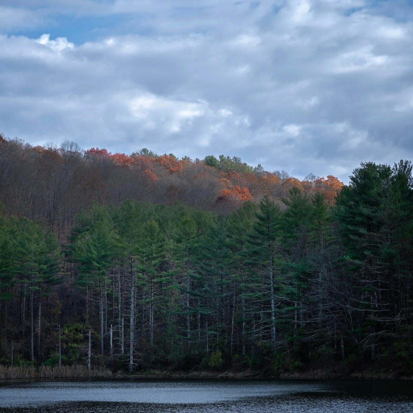 Rolling hills. River towns. Scenic roads. Appalachian heritage.

Ohio&rsquo;s Rolling Hills is more than a name. It&rsquo;s a region shaped by natural beauty, outdoor adventure, and communities with stories to tell.

From hiking trails and state park