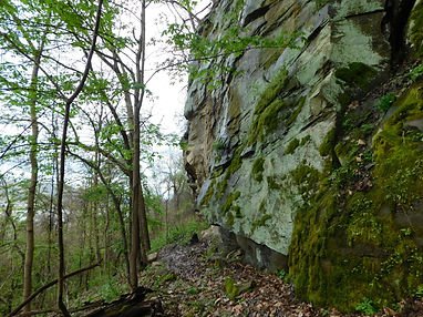 Kiedaisch wall. large rock face in the woods.