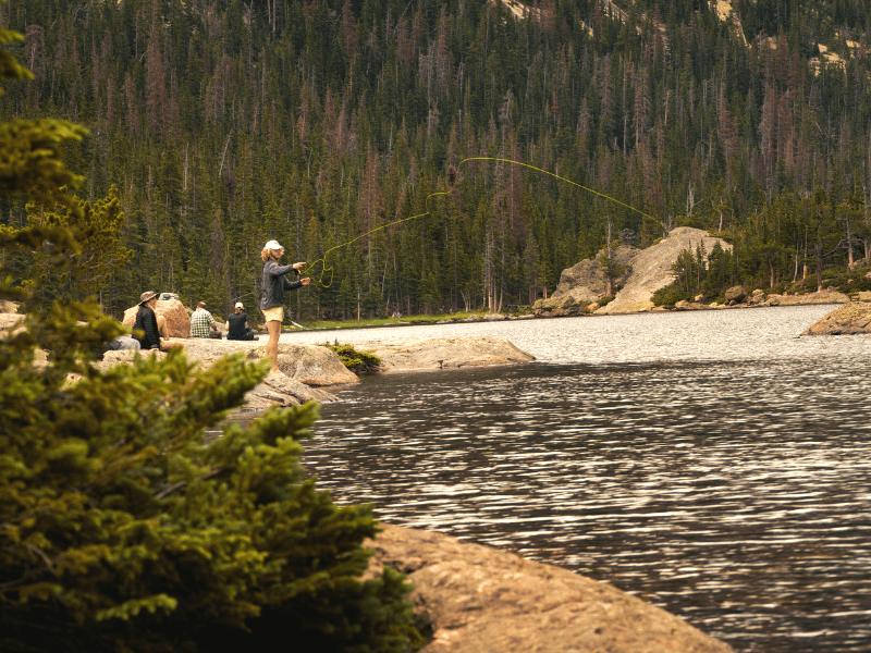 people fly fishing on the shore of a lake with evergreen trees in the background