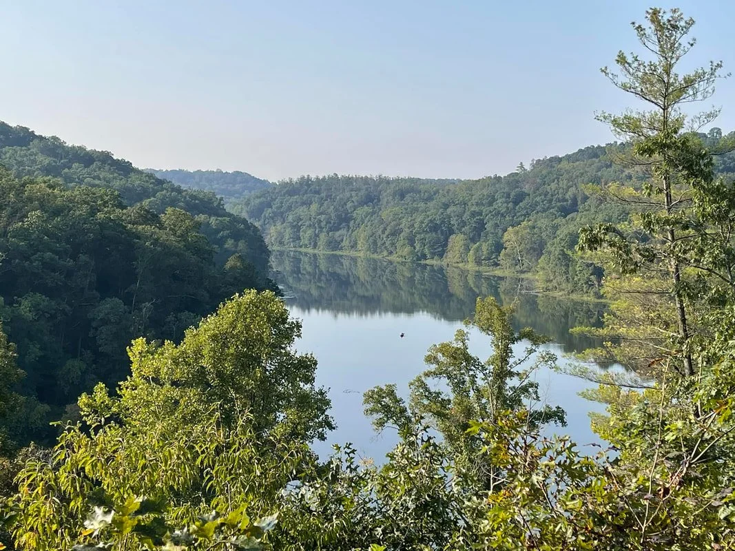 scenic lake surrounded by trees