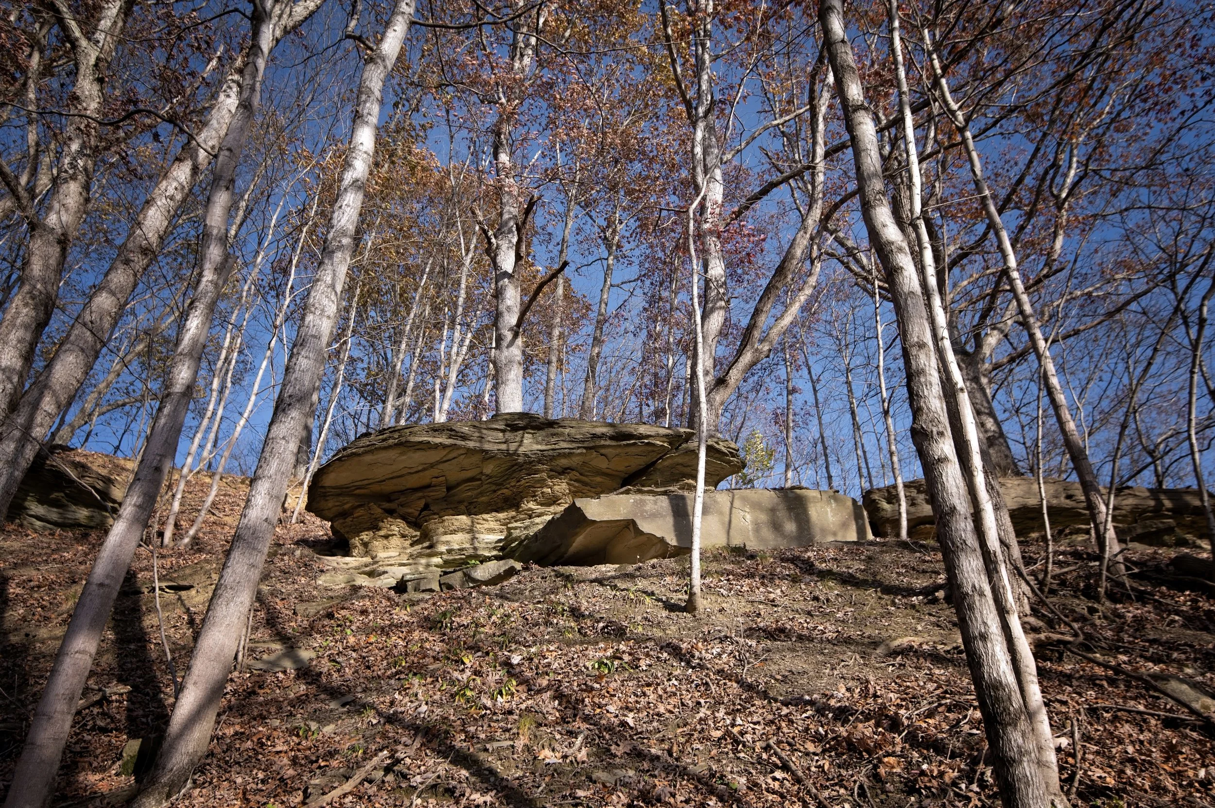 Rock formation in the middle of the woods