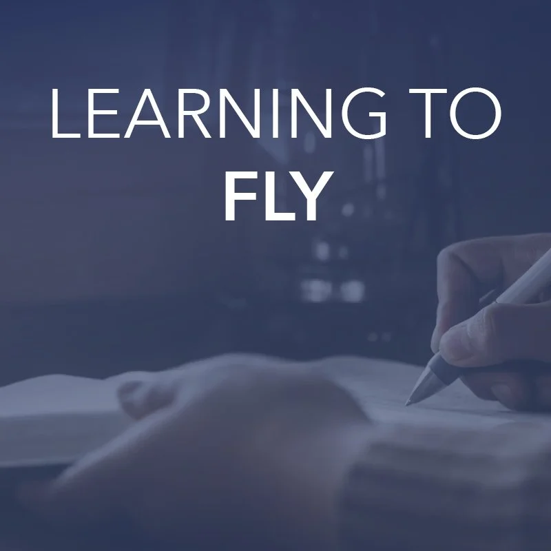 Learning to Fly