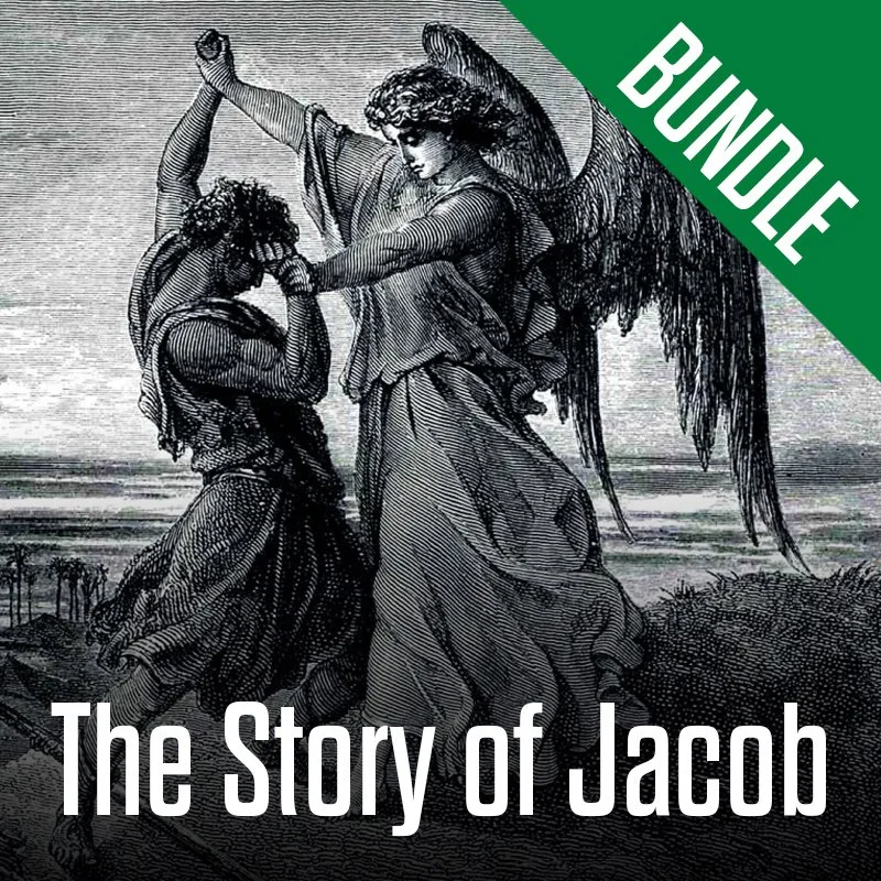 The Story of Jacob Small Group Curriculum + Devotional Bundle