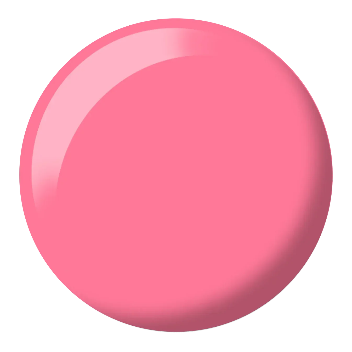 538.webp