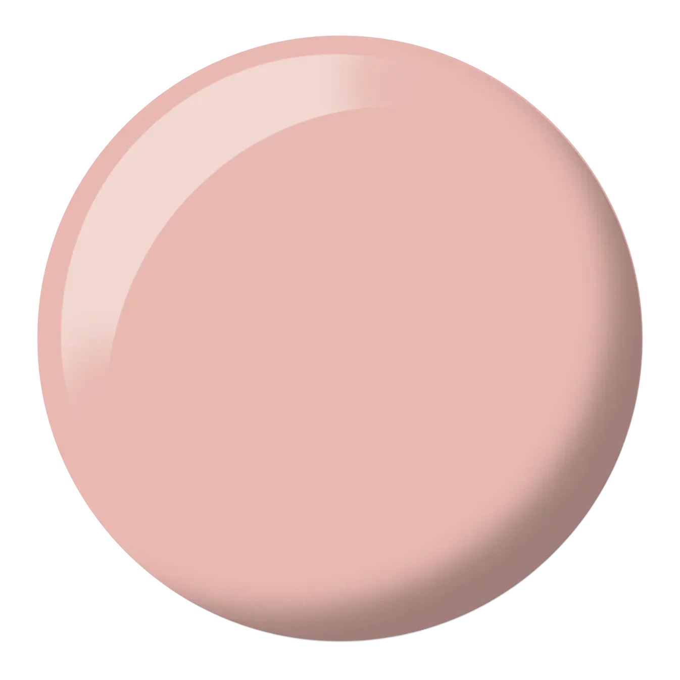 DND-613-DOT.webp