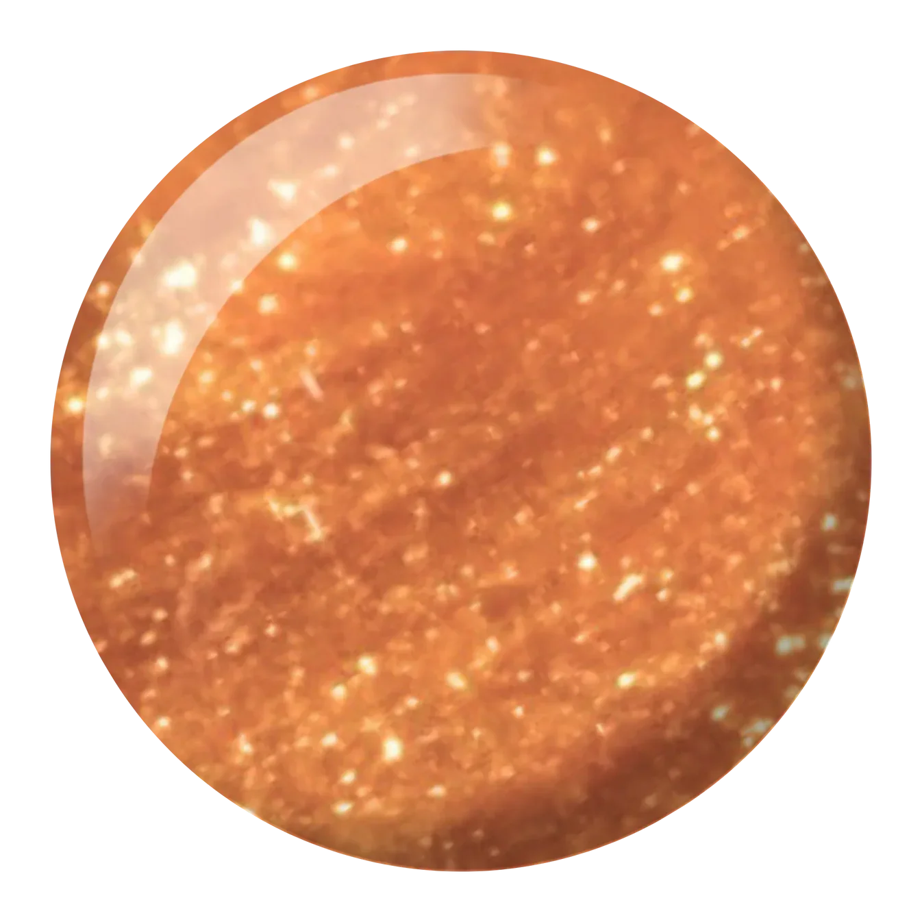 DND-481-DOT.webp