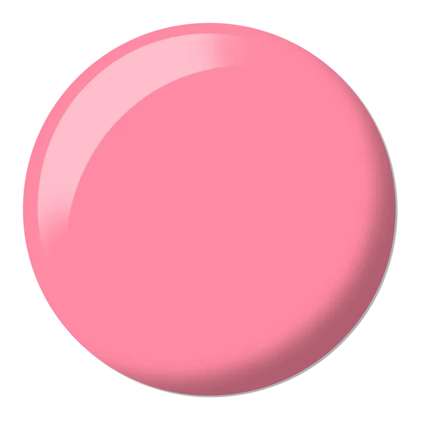 DND-646-DOT.webp