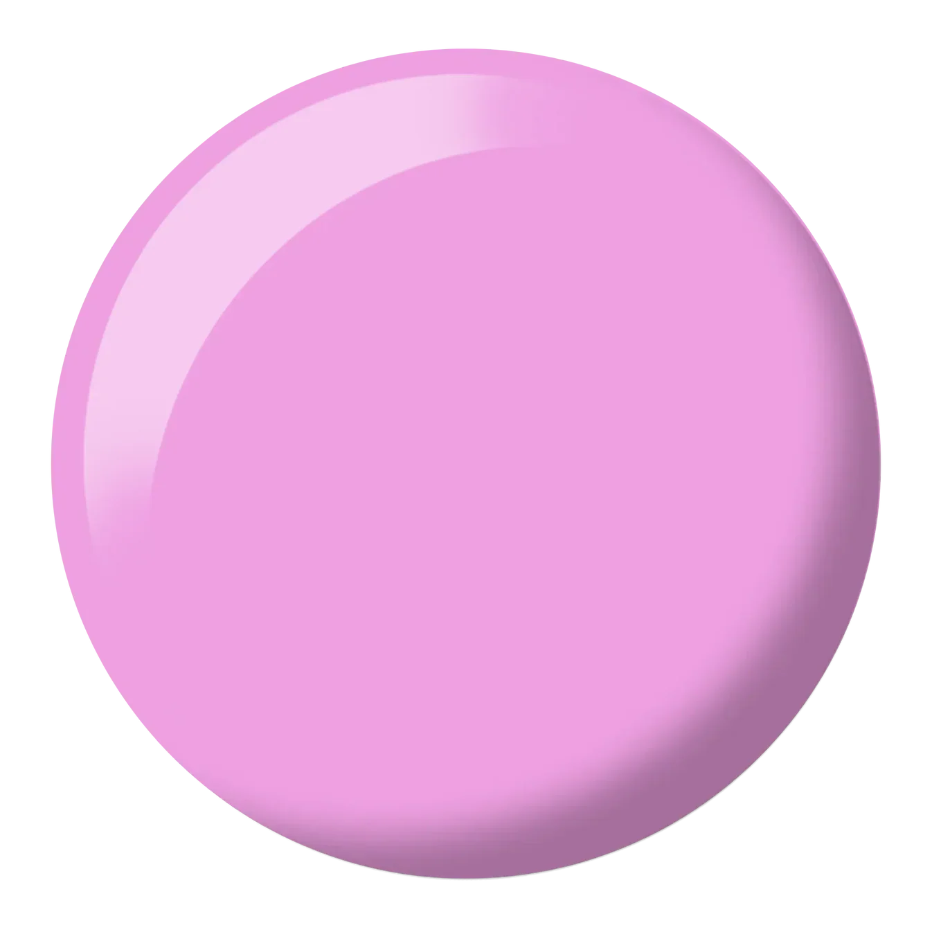 DND-579-DOT.webp