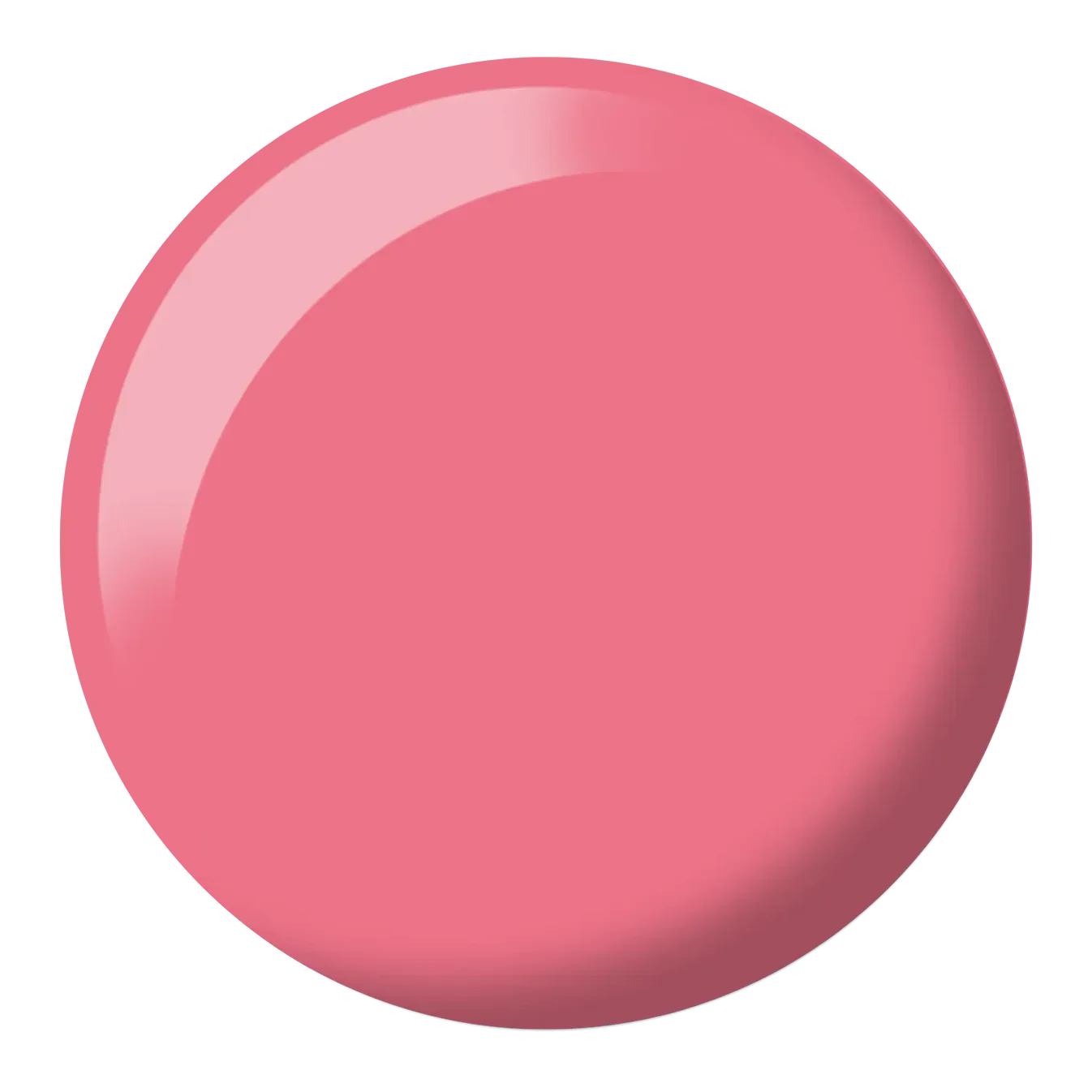 DND-498-DOT.webp