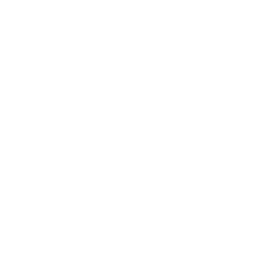 Icon of a megaphone.