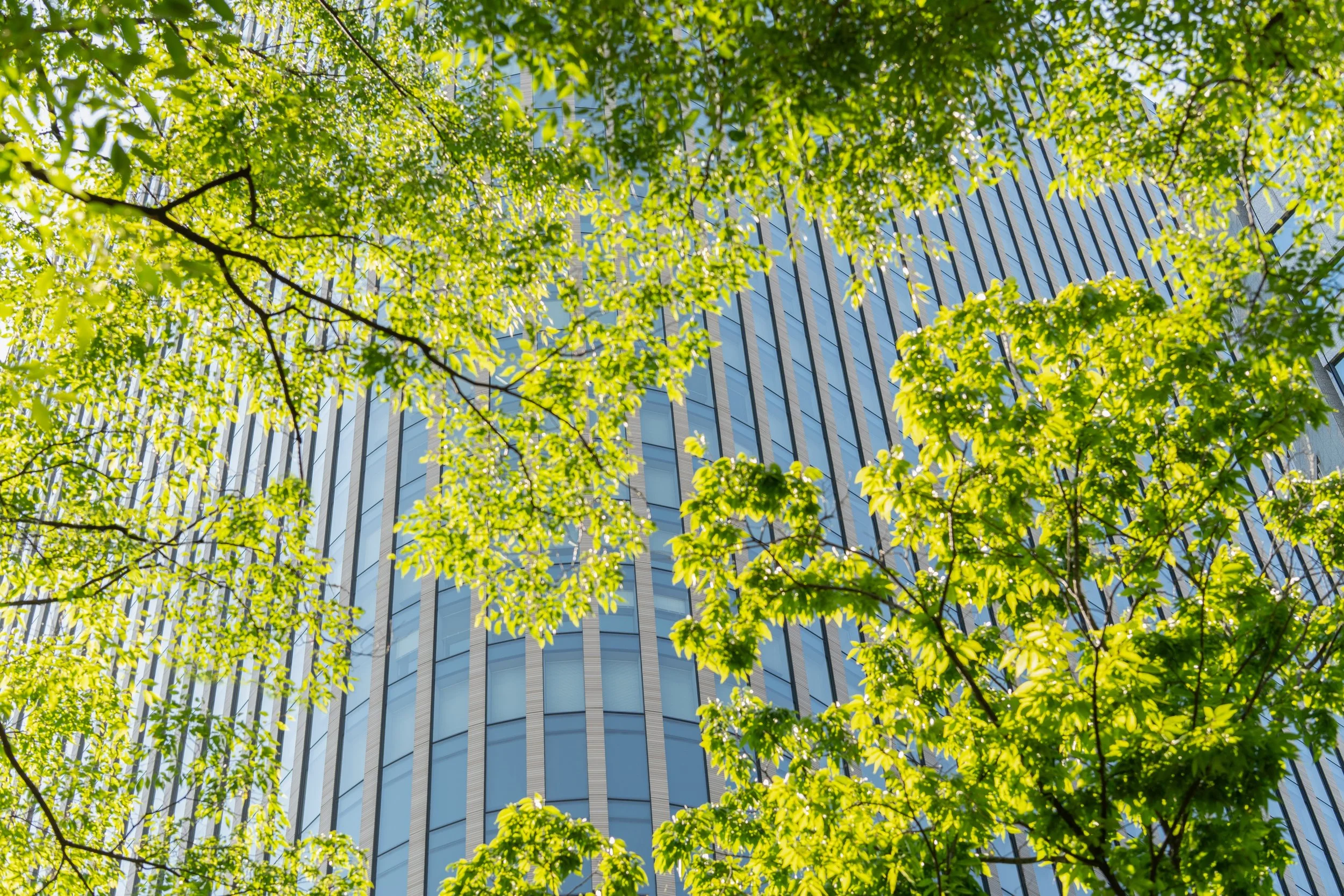 Building the Playbook for Restoration Finance