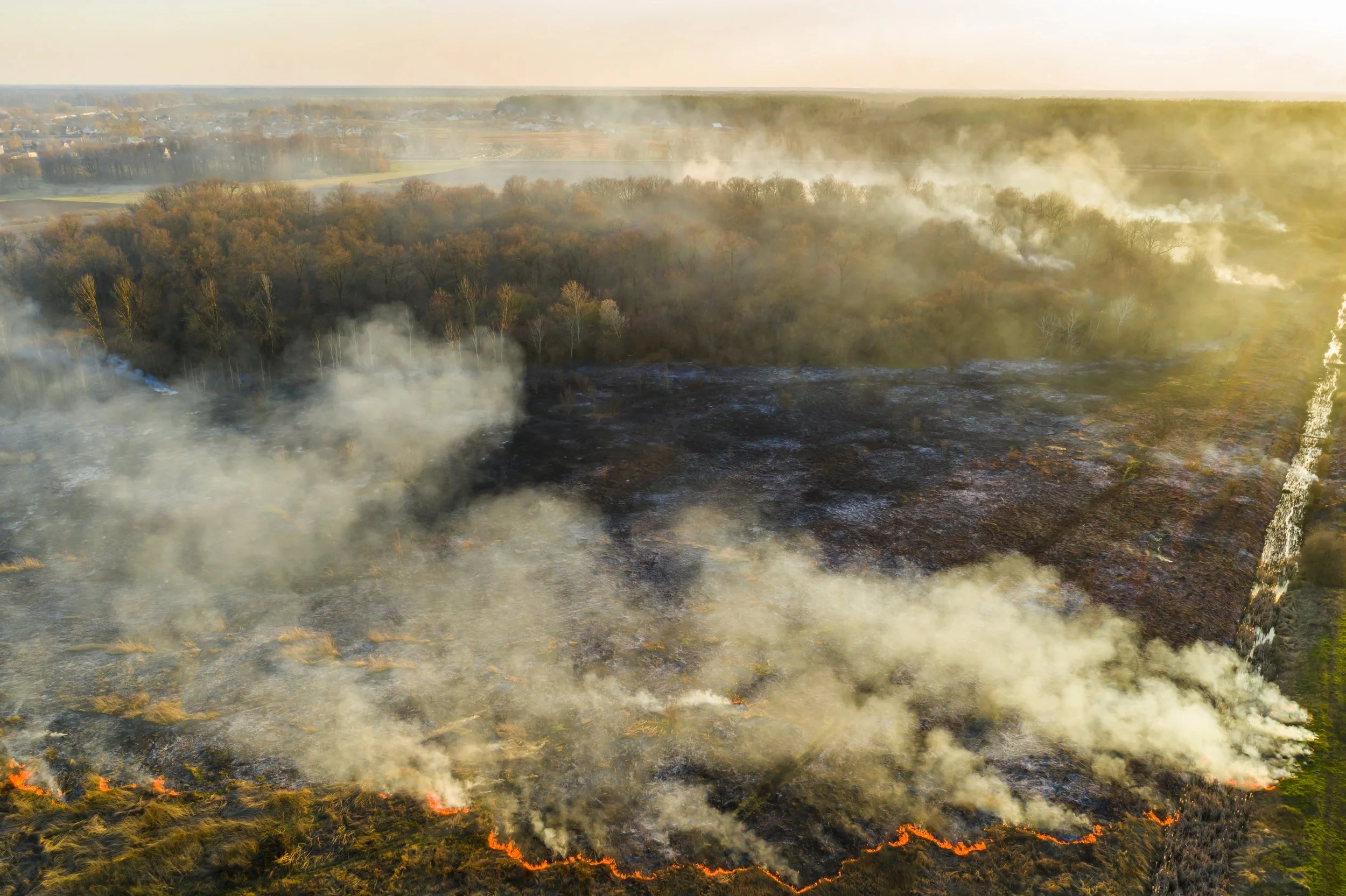 The Resilience Gap: Assessing California’s Wildfire Fuel Treatment Needs by Income Level