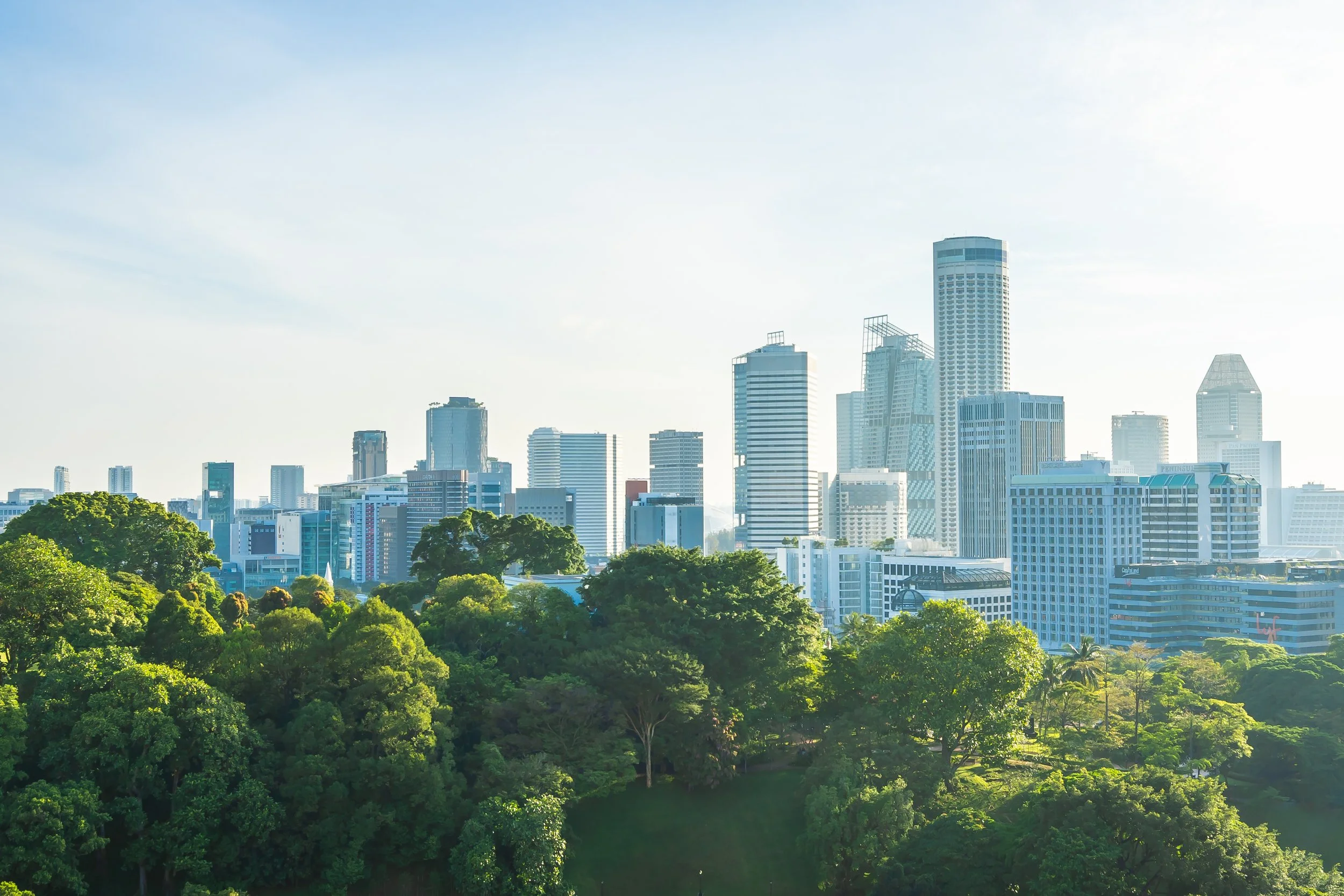 Growing our Urban Forests: The Challenge and Opportunity to Drive Impact