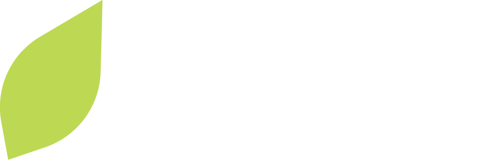 Your Site Title