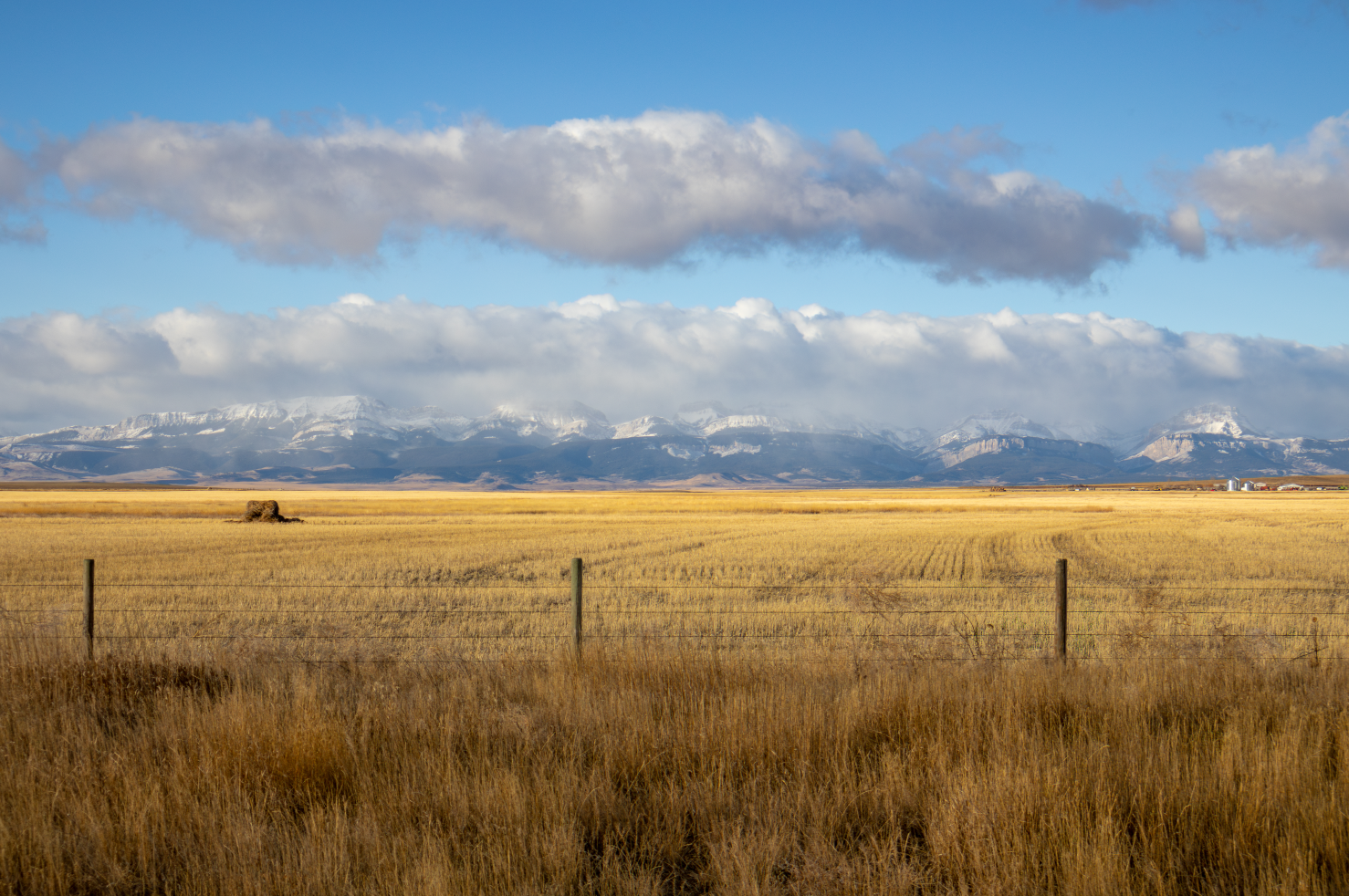 A golden field stretching to the mountainous horizon under a blue sky.