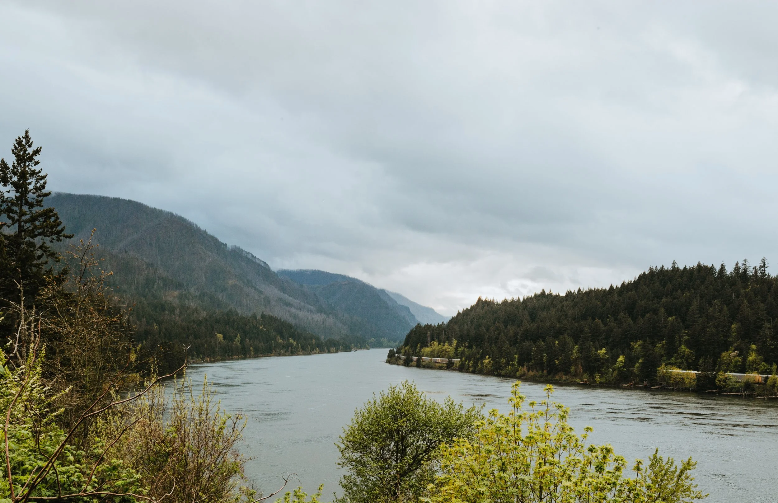 A winding river gorge with greenery on the shorelines under a gray sky.