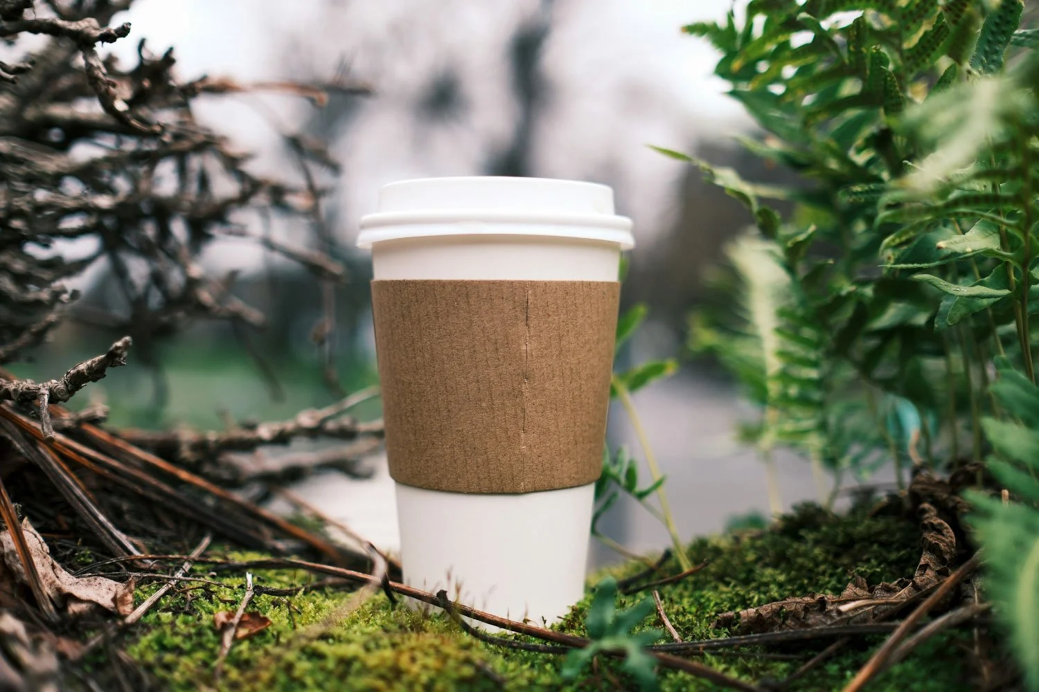 A disposable coffee cup with a cardboard sleeve, placed outdoors among green plants and moss, with a blurred natural background.