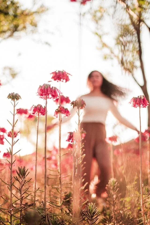 A woman with long hair standing amidst pink flowers, with trees in the background, and sunlight filtering through at sunset.