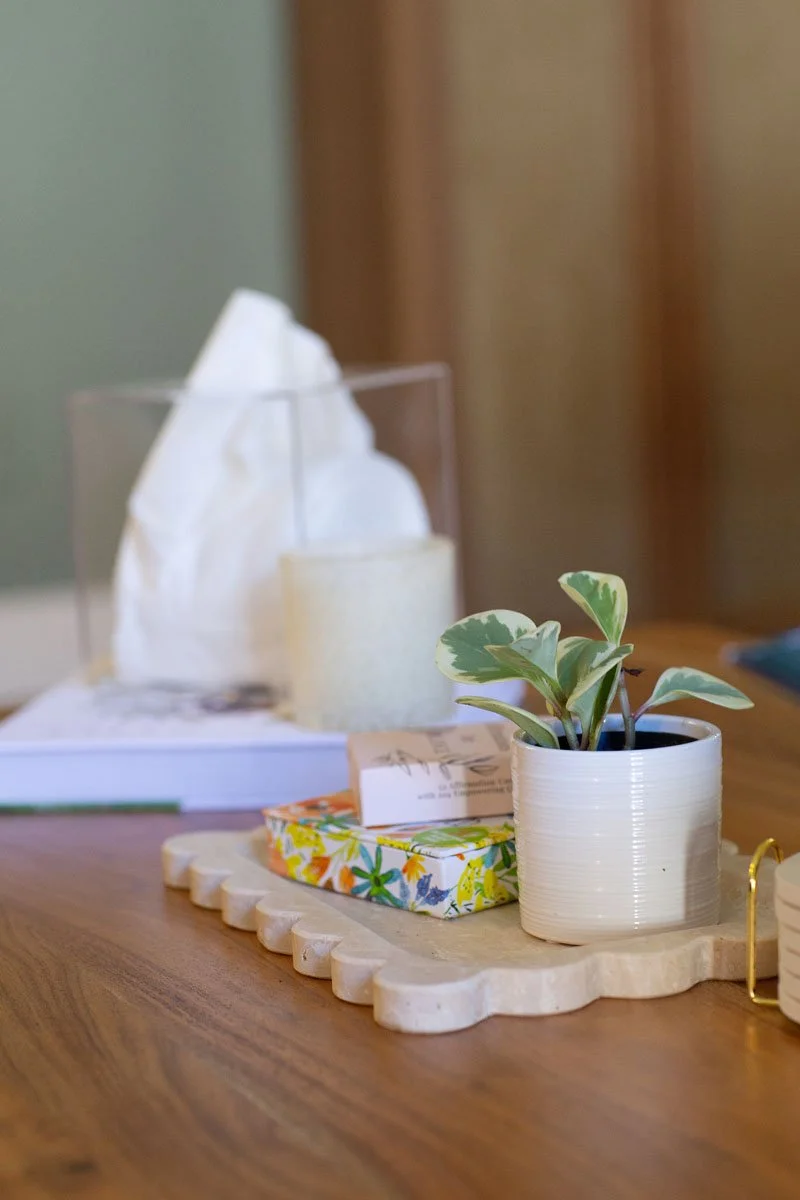 A small potted plant with green and white leaves on a decorative tray on a wooden table in Rebecca's therapy office.