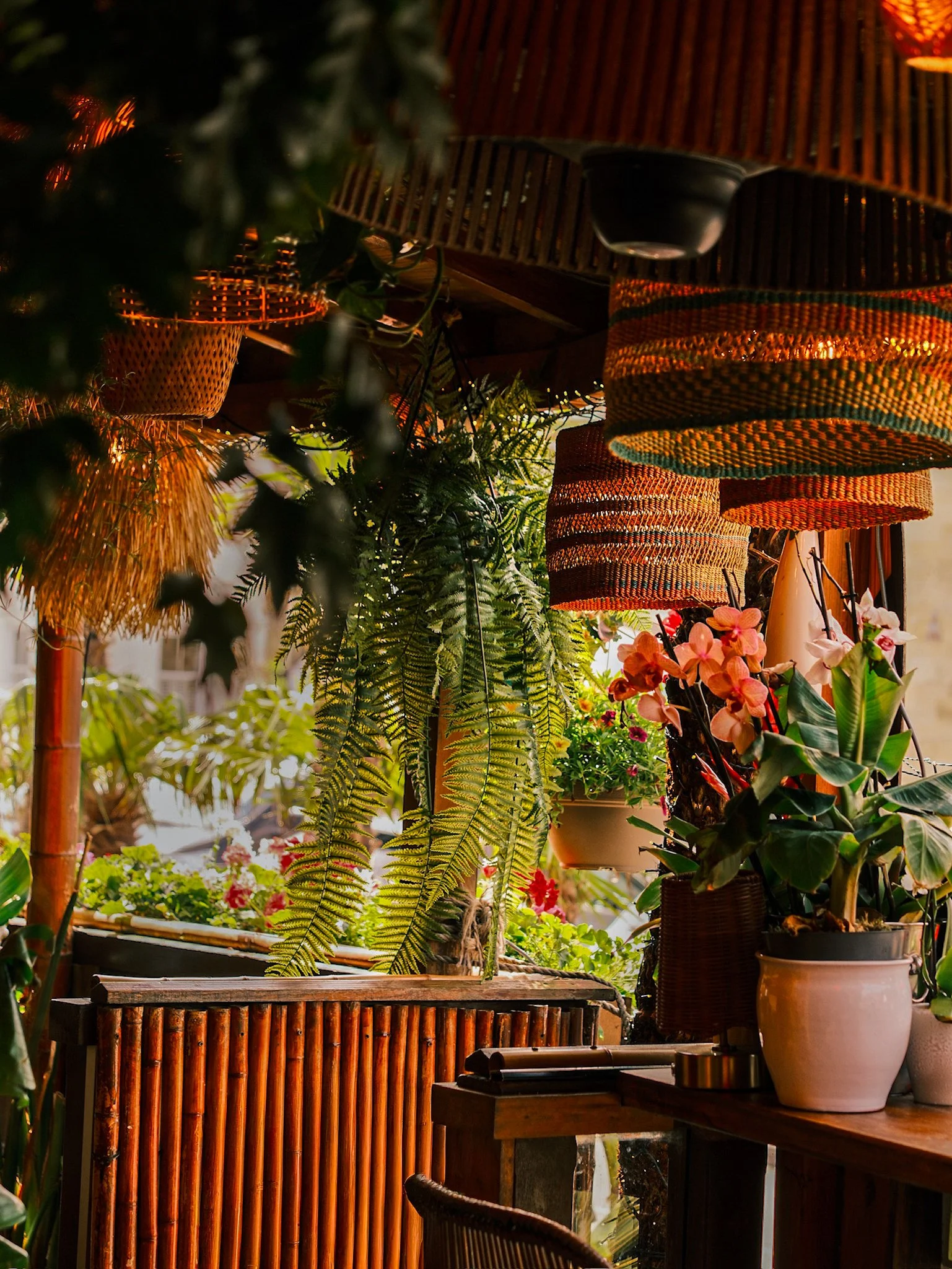 Indoor scene with hanging woven bamboo lamps, potted plants including orchids, a bamboo fence, and a wooden table with chairs, creating a cozy, tropical-inspired ambiance.