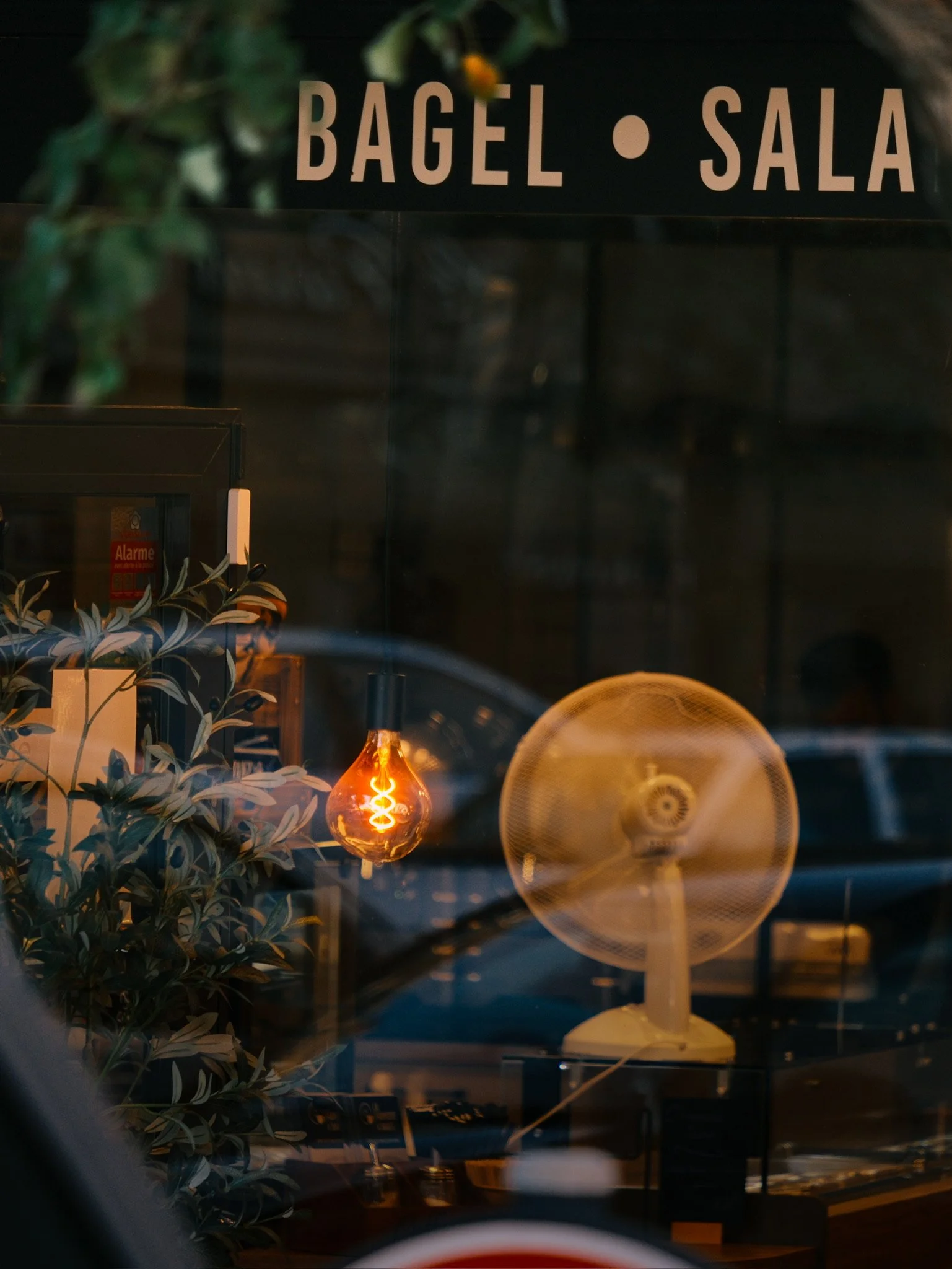Store window with a sign for bagels and salad, illuminated warm light bulbs, plants, and a fan inside.