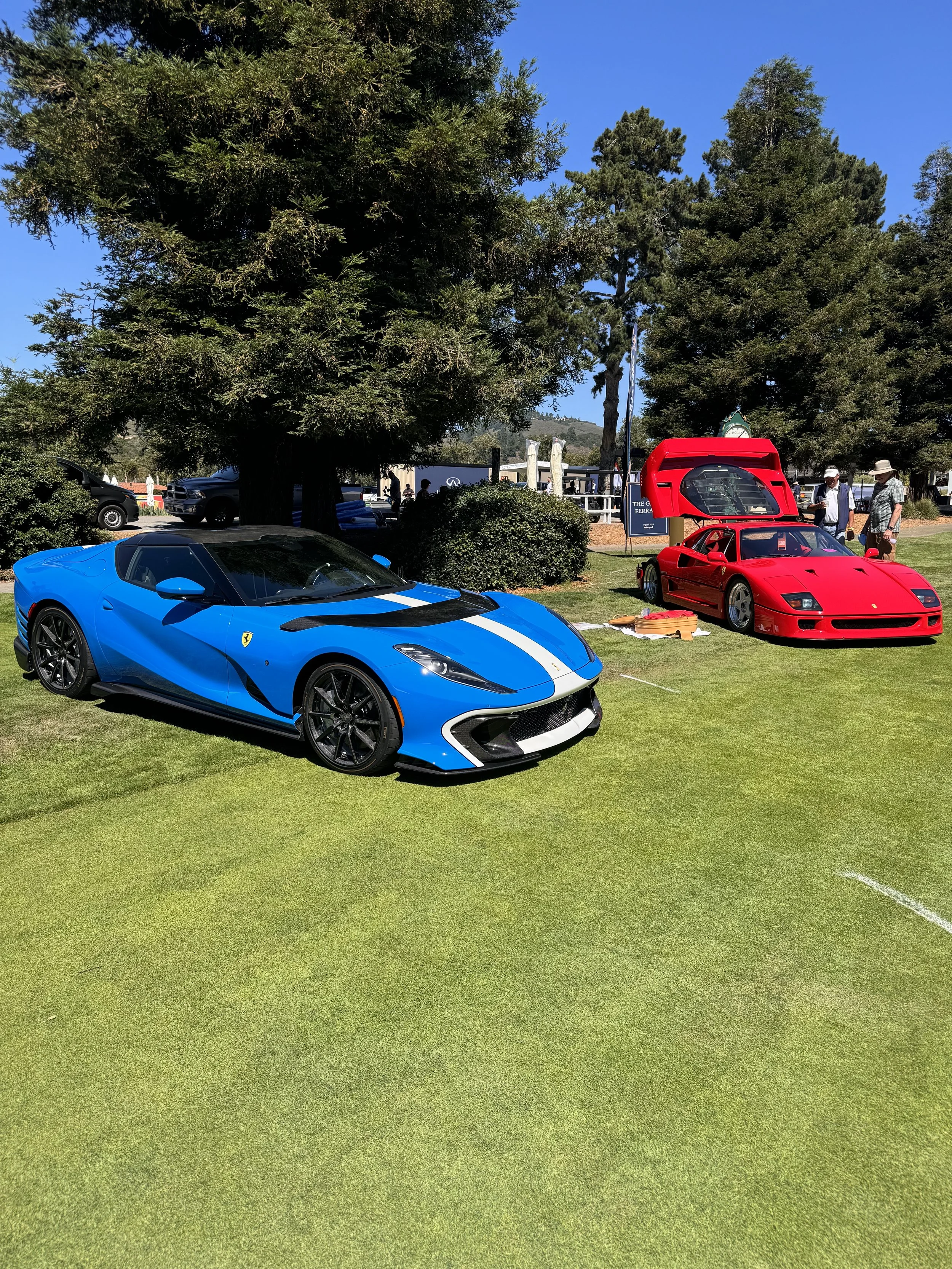 Blue and red sports cars displayed on a grassy area at what appears to be an outdoor car show, with trees and people in the background.