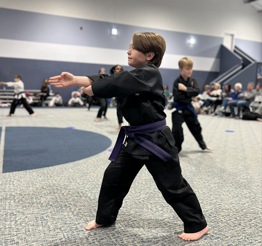 Why Martial Arts and Tutoring Work So Well Together