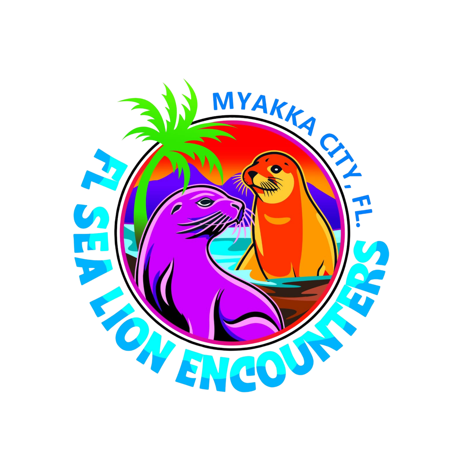 Fl Sea Lion Enconters