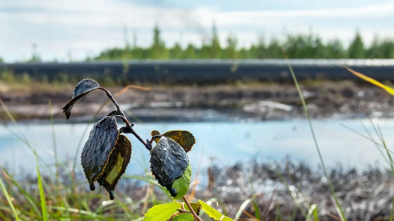 Lessons from the UNEP Ogoniland Environmental Assessment for New Oil and Gas Frontiers in Africa
