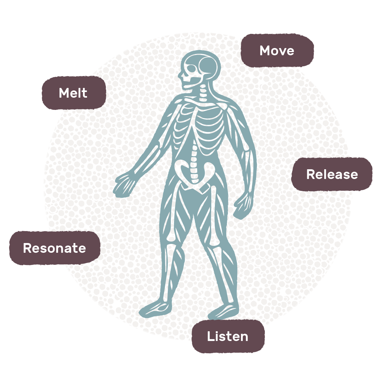 Illustration of the human body and skeleton showing the five StinuYoga elements: Move, Melt, Release, Listen and Resonate.
