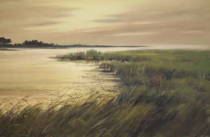 A marshland with tall grass near a body of water under a cloudy sky at sunset.