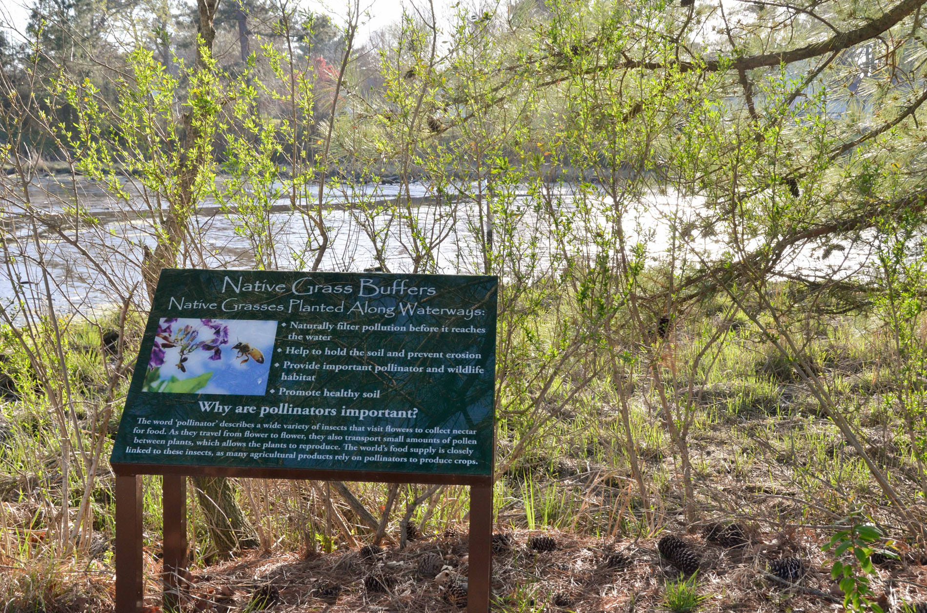 Nature Trails (Copy)