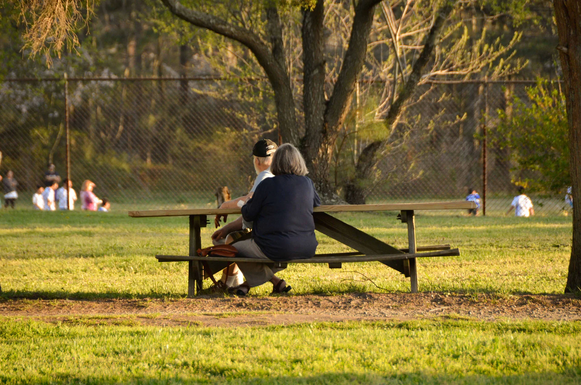 Picnic (Copy)