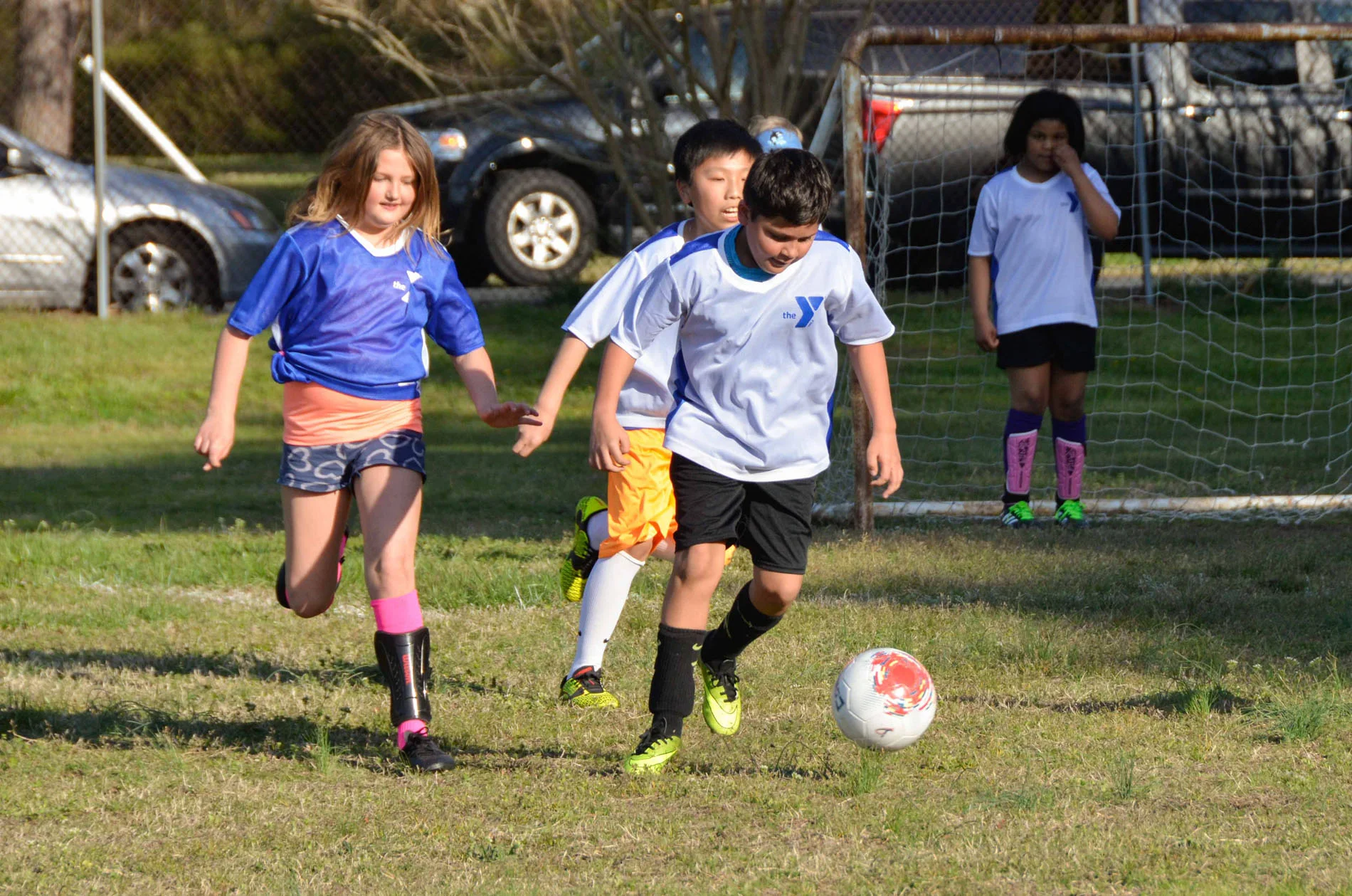 Sports Field (Copy)