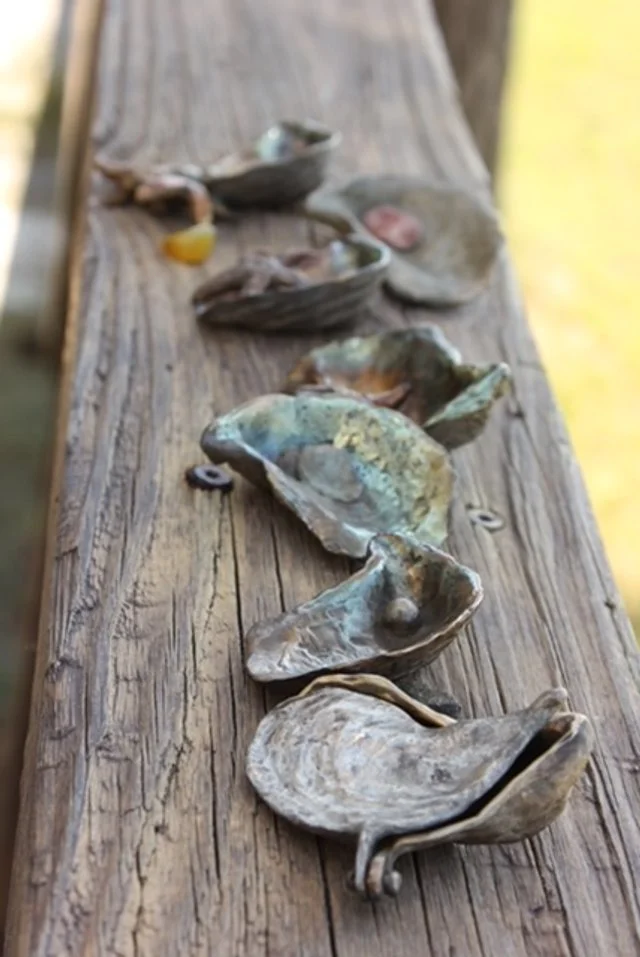 Multiple oyster shells lined up on a weathered wooden surface, with a blurred outdoor background.