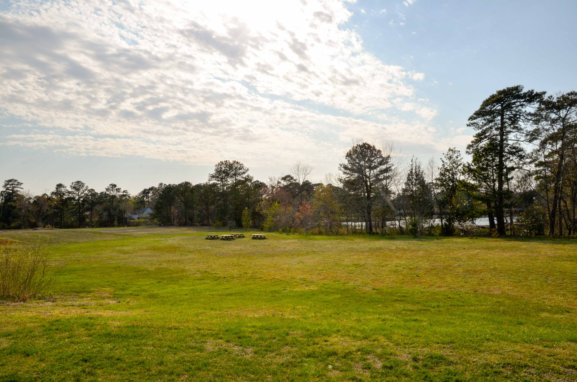grounds