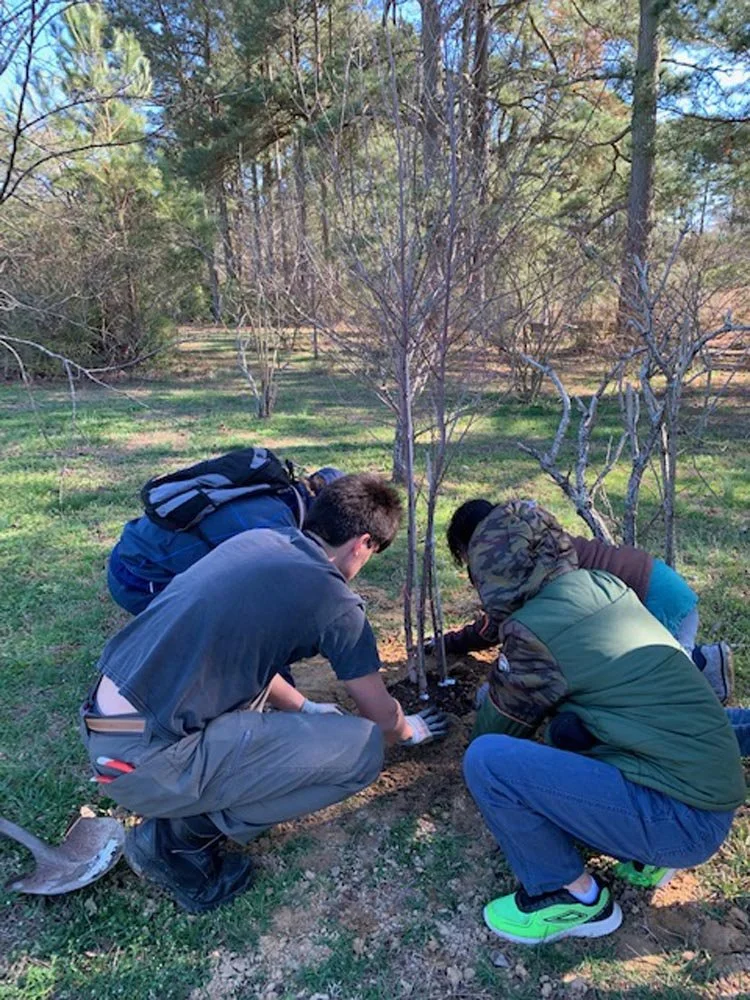 Three people planting a young tree in a grassy area with other trees in the background.