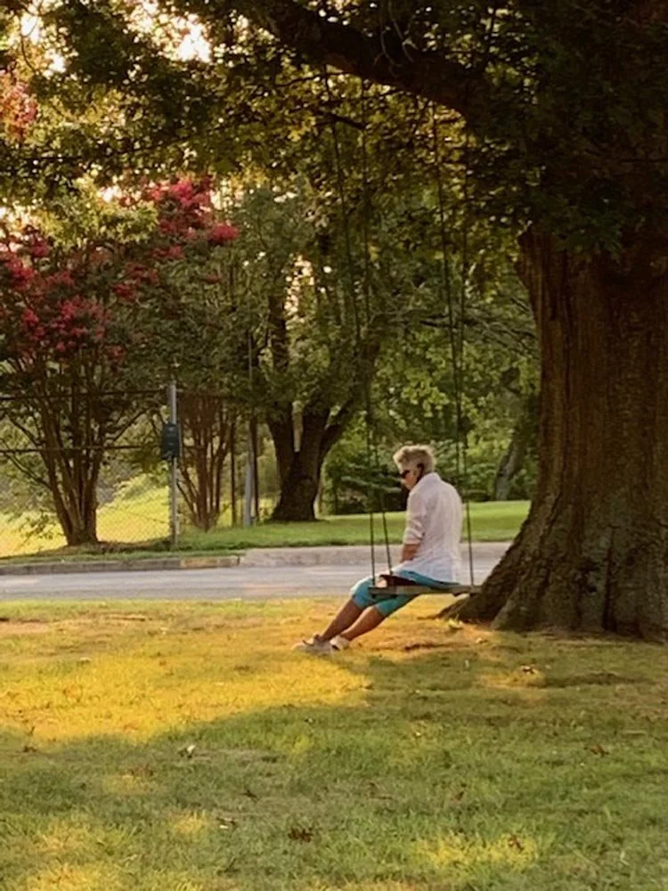 Person sitting on a swing attached to a large tree, in a park with grass and trees.