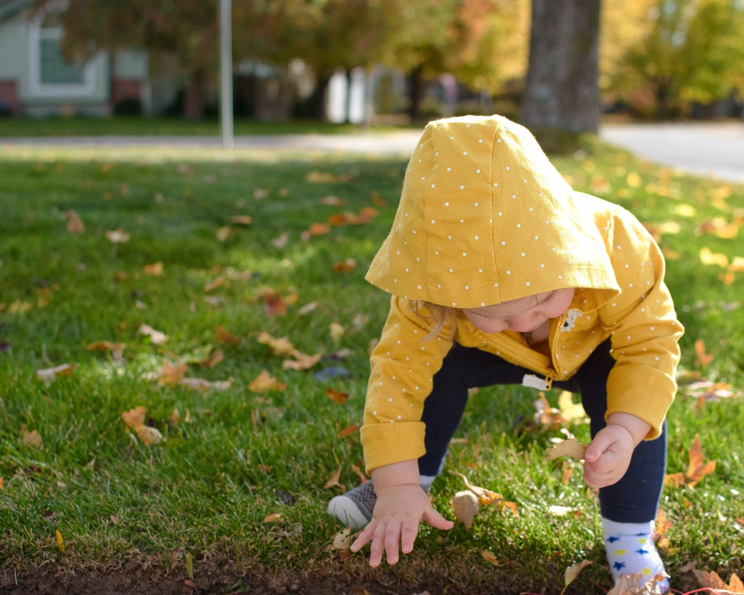 Gallery - Family - 016.jpg