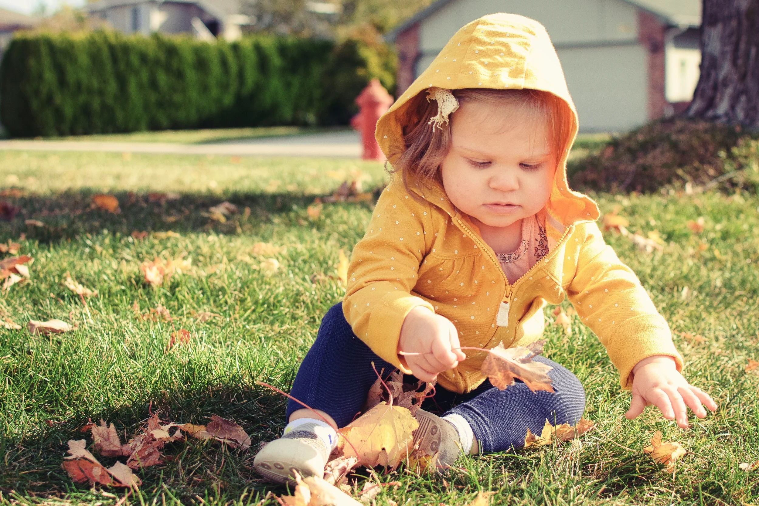 Gallery - Family - 015.jpg