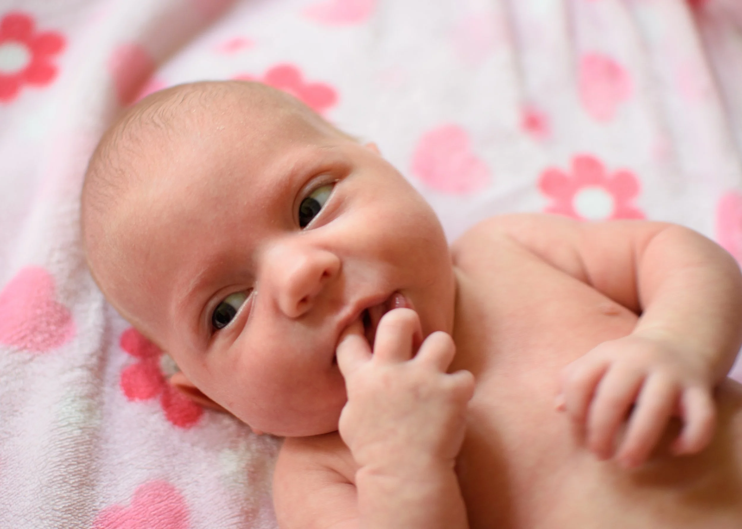 Gallery - Family - 024.jpg