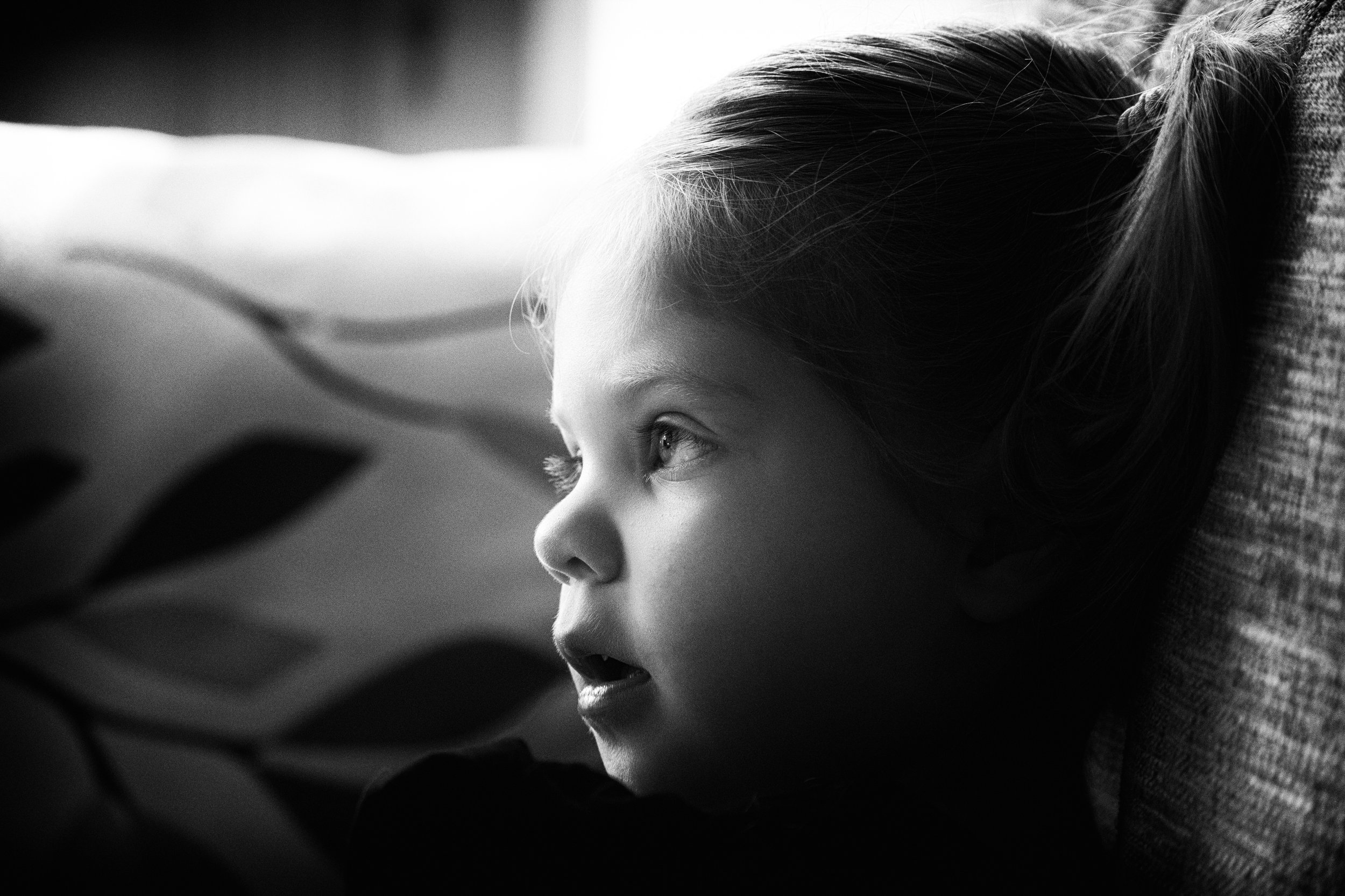 Gallery - Family - 012.jpg