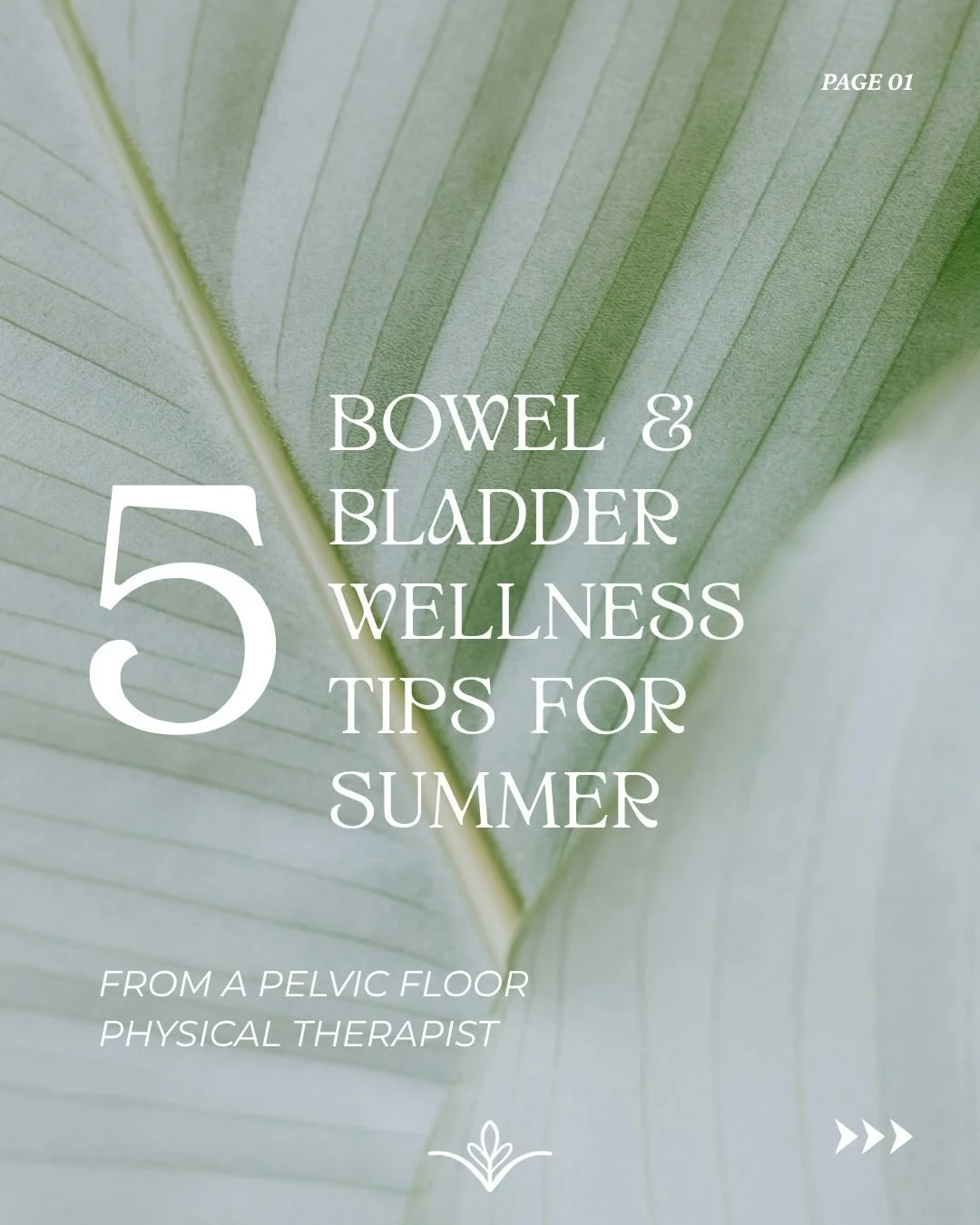 Summer is here! ☀️

Which for many means vacations, changes in daily routines &amp; schedules, and enjoying time with family 💛 

These are some foundational tips and guidelines that I give patients as they continue to think about &amp; care for thei