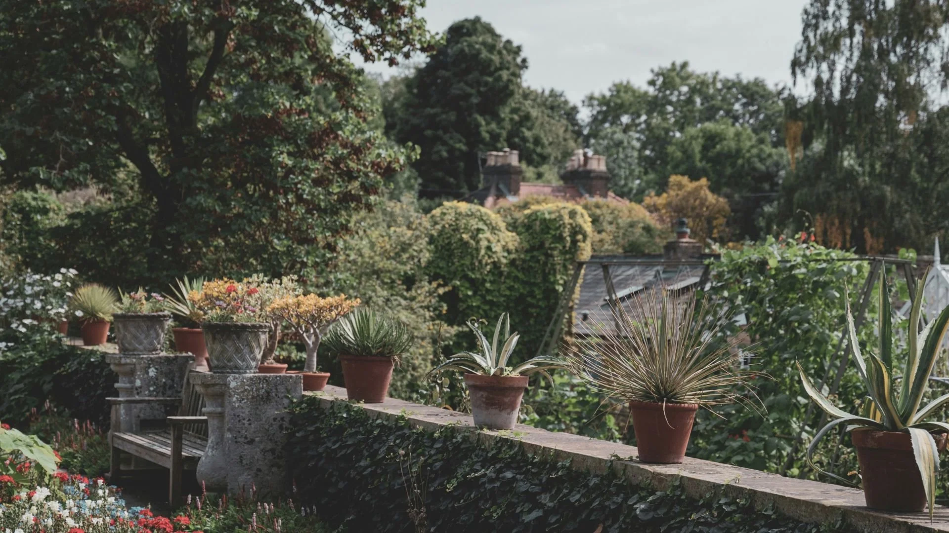 Garden with potted plants on a stone wall and lush greenery in the background.