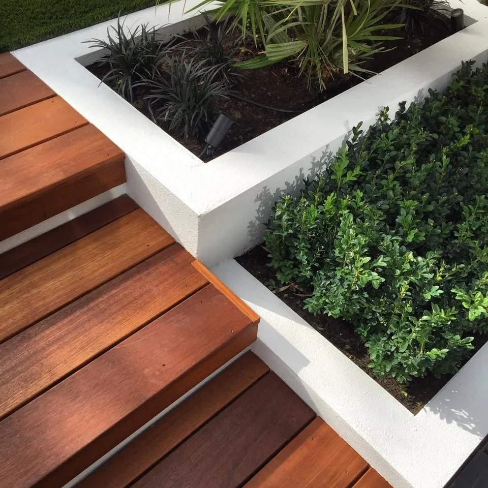 Close-up of a modern outdoor garden with wooden steps, white concrete planter boxes filled with green and dark purple plants, and bright green shrubbery.